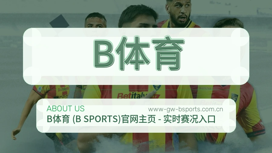 B体育平台简介展示